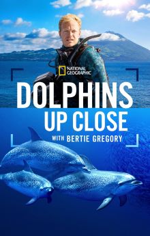 Dolphins Up Close with Bertie Gregory Dolphins Up Close with Bertie Gregory