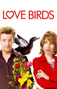 Love Birds Love Birds
