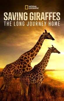 Saving Giraffes: The Long Journey Home Saving Giraffes: The Long Journey Home